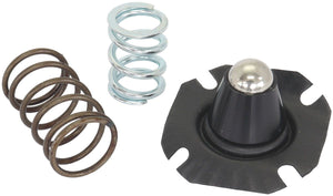 Replacement Spring & Diaphragm